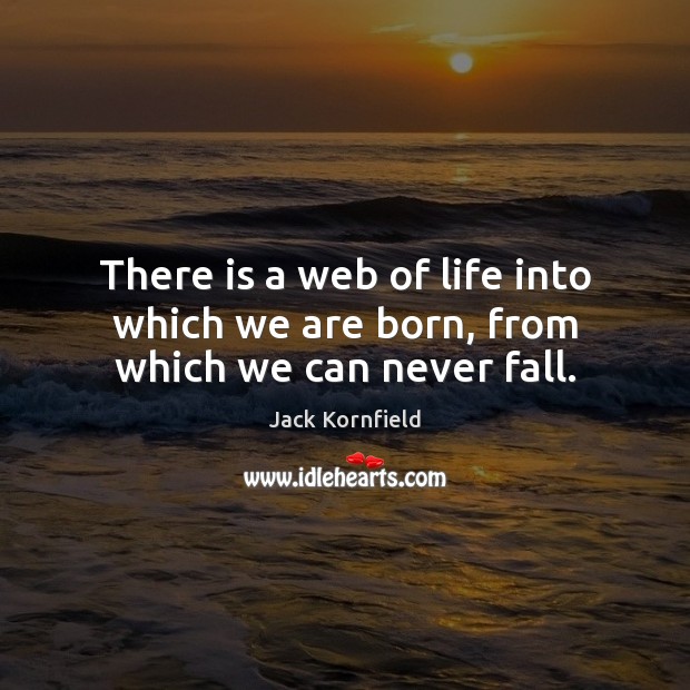 There is a web of life into which we are born, from which we can never fall. Jack Kornfield Picture Quote