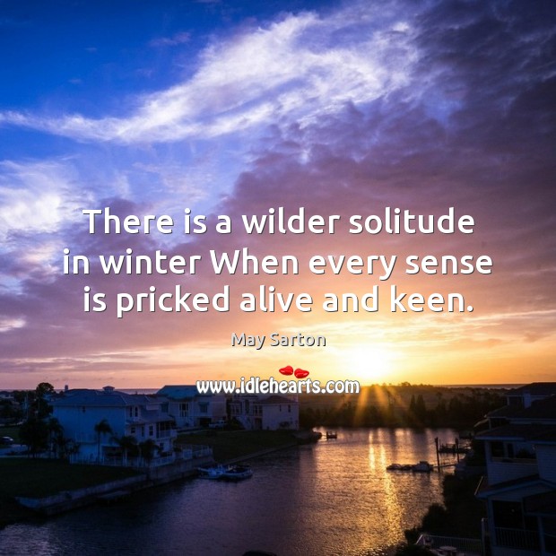There is a wilder solitude in winter When every sense is pricked alive and keen. May Sarton Picture Quote