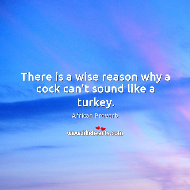 There is a wise reason why a cock can’t sound like a turkey. Image