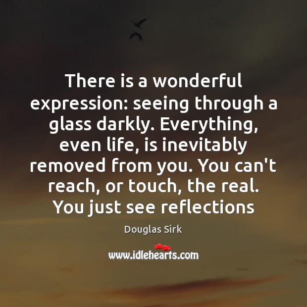 There is a wonderful expression: seeing through a glass darkly. Everything, even 