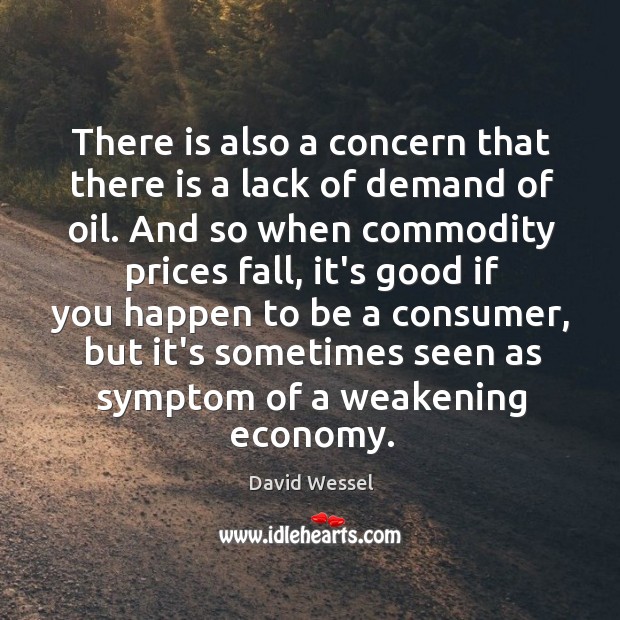 There is also a concern that there is a lack of demand David Wessel Picture Quote