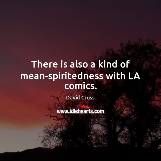 There is also a kind of mean-spiritedness with LA comics. David Cross Picture Quote