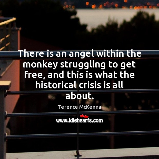 There is an angel within the monkey struggling to get free, and Terence McKenna Picture Quote