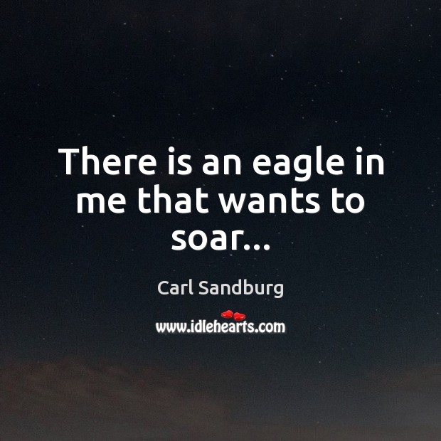 There is an eagle in me that wants to soar… Carl Sandburg Picture Quote