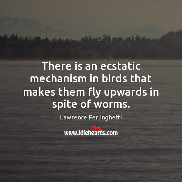 There is an ecstatic mechanism in birds that makes them fly upwards in spite of worms. Image