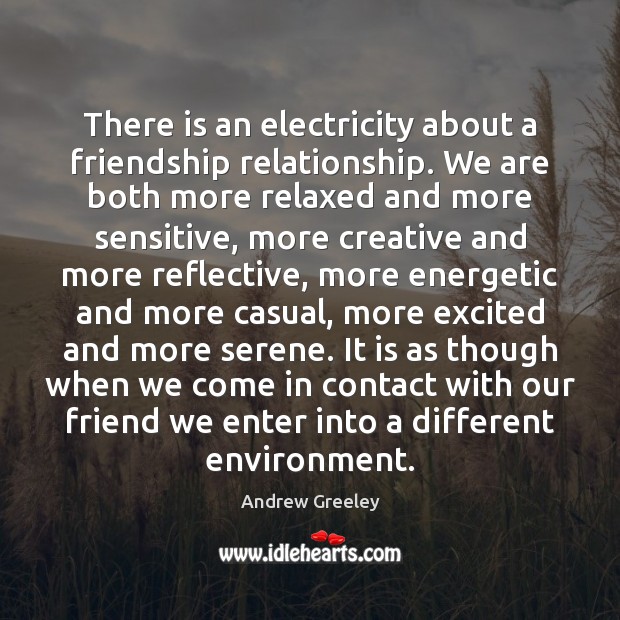 There is an electricity about a friendship relationship. We are both more Andrew Greeley Picture Quote
