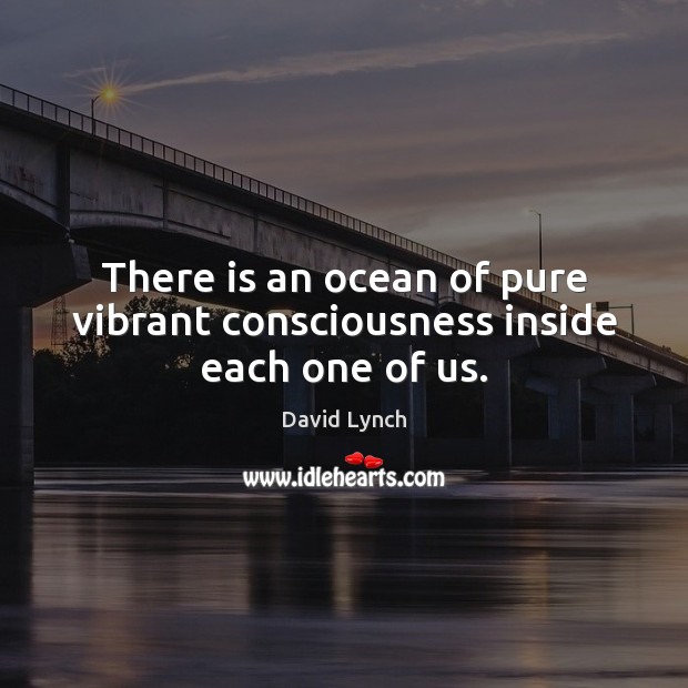 There is an ocean of pure vibrant consciousness inside each one of us. David Lynch Picture Quote