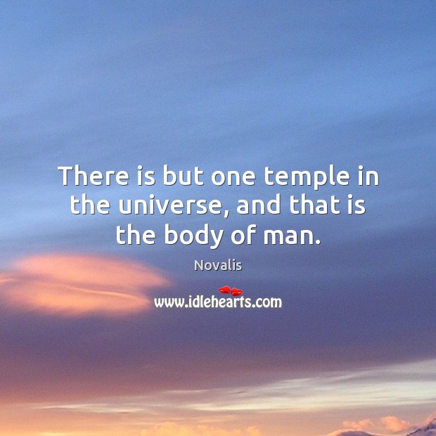 There is but one temple in the universe, and that is the body of man. Image