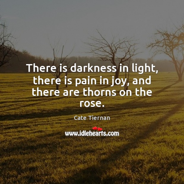 There is darkness in light, there is pain in joy, and there are thorns on the rose. Cate Tiernan Picture Quote