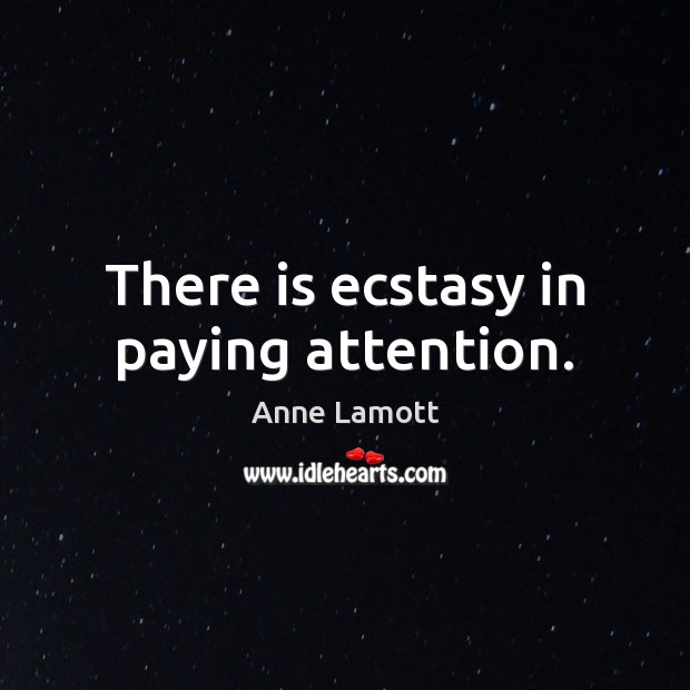 There is ecstasy in paying attention. Anne Lamott Picture Quote