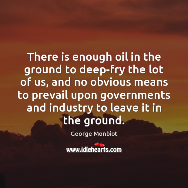 There is enough oil in the ground to deep-fry the lot of George Monbiot Picture Quote