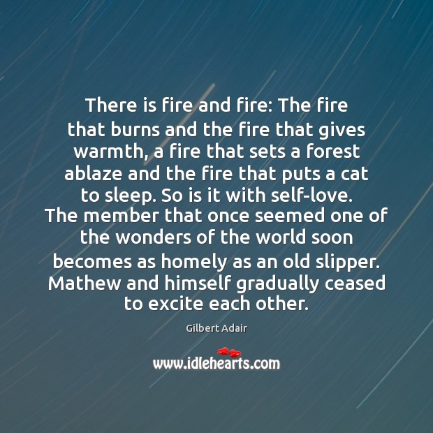 There is fire and fire: The fire that burns and the fire Gilbert Adair Picture Quote