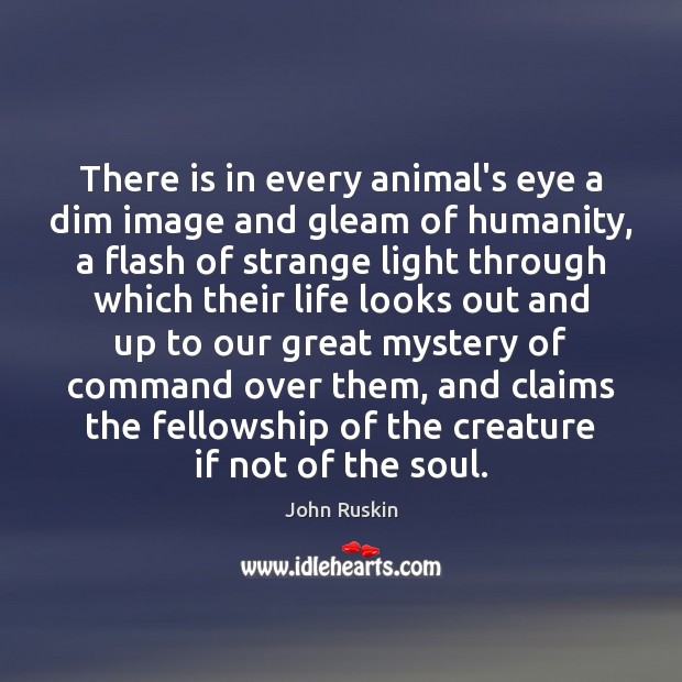 There is in every animal’s eye a dim image and gleam of John Ruskin Picture Quote