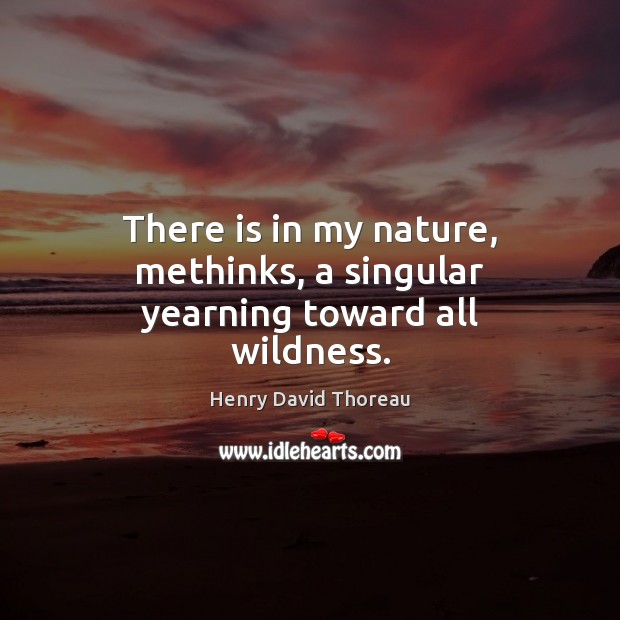 There is in my nature, methinks, a singular yearning toward all wildness. Henry David Thoreau Picture Quote