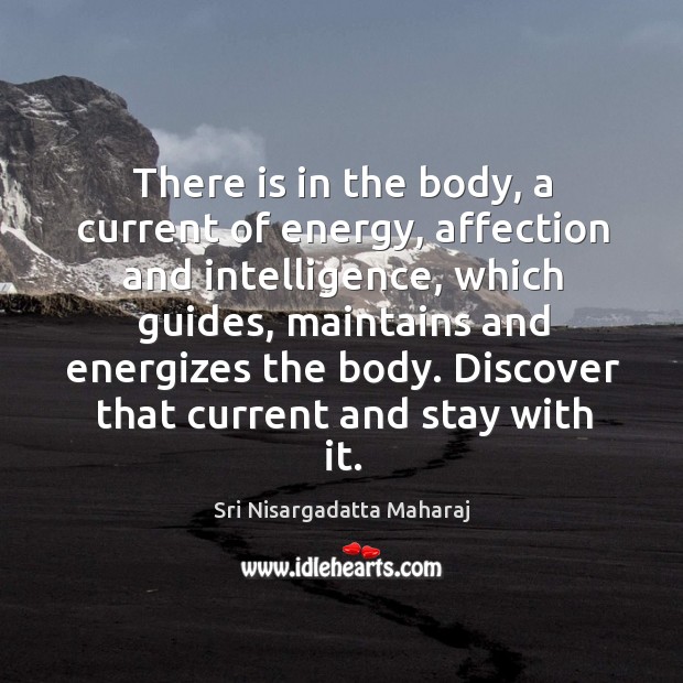 There is in the body, a current of energy, affection and intelligence, Sri Nisargadatta Maharaj Picture Quote