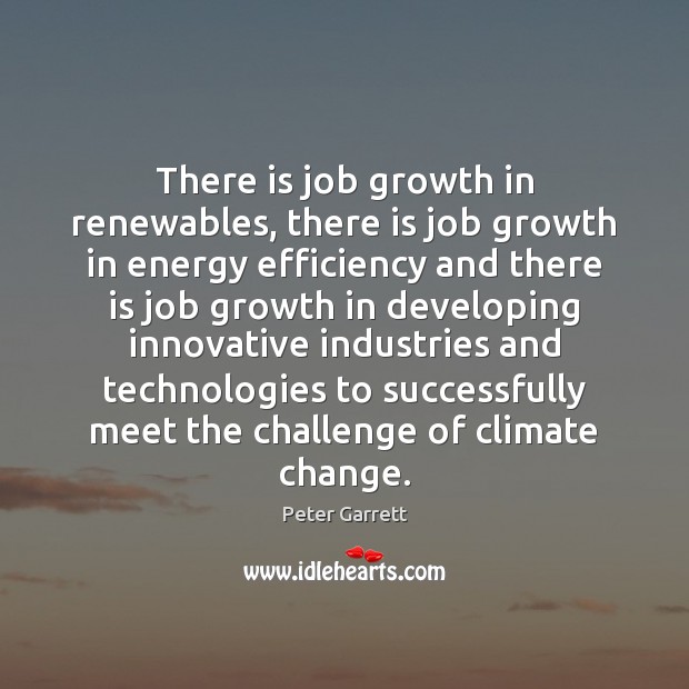 There is job growth in renewables, there is job growth in energy Peter Garrett Picture Quote