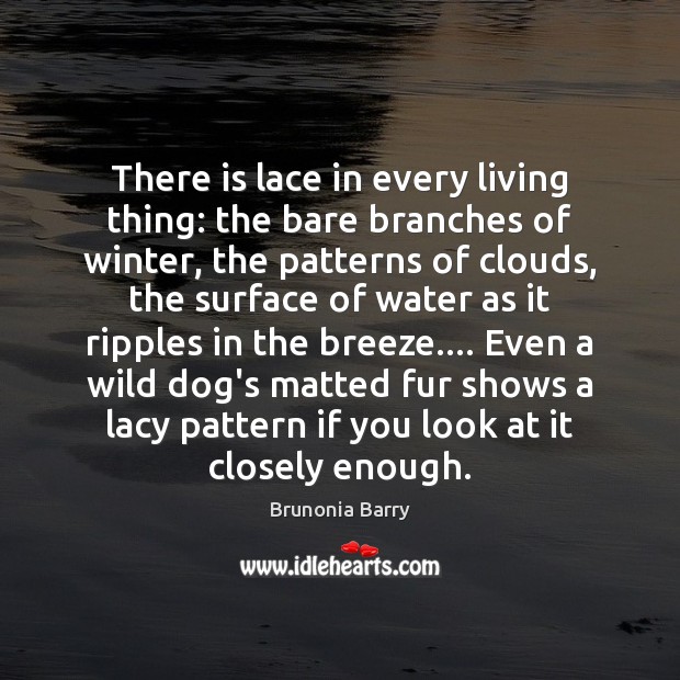 There is lace in every living thing: the bare branches of winter, Brunonia Barry Picture Quote
