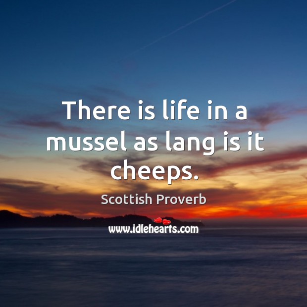 There is life in a mussel as lang is it cheeps. Scottish Proverbs Image