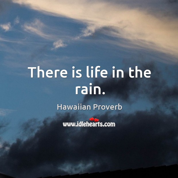 There is life in the rain. Hawaiian Proverbs Image