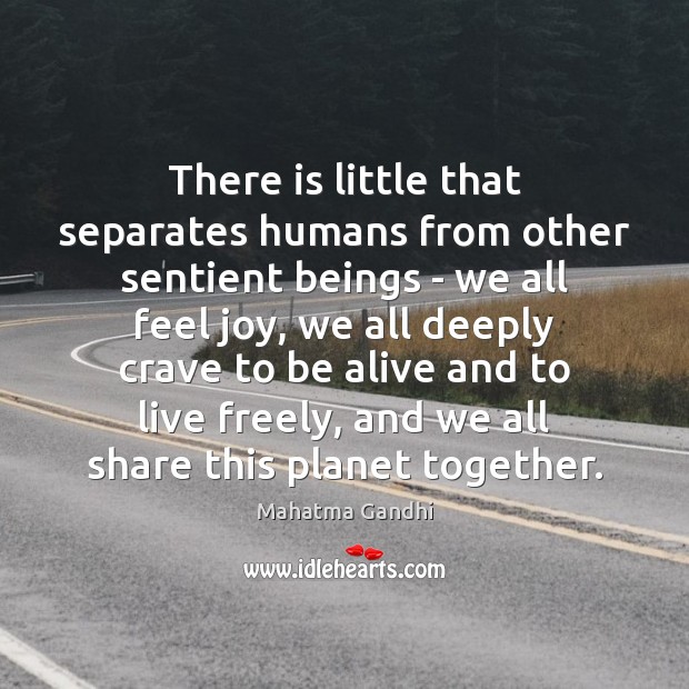 There is little that separates humans from other sentient beings – we Mahatma Gandhi Picture Quote