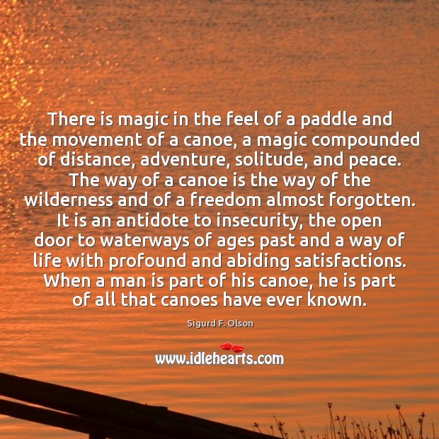 There is magic in the feel of a paddle and the movement Sigurd F. Olson Picture Quote
