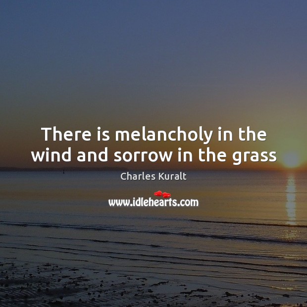 There is melancholy in the wind and sorrow in the grass Image