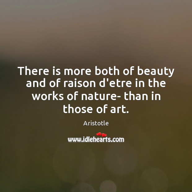 There is more both of beauty and of raison d’etre in the Aristotle Picture Quote