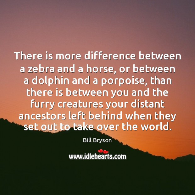 There is more difference between a zebra and a horse, or between Bill Bryson Picture Quote