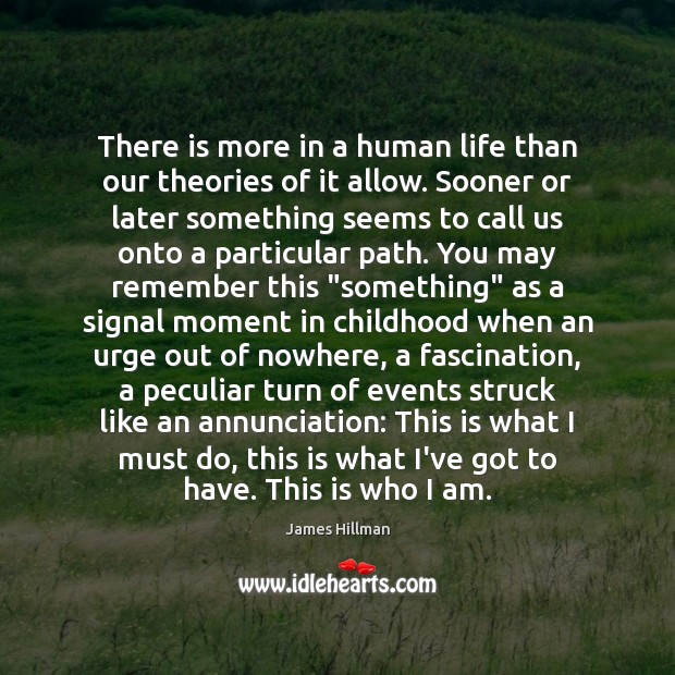 There is more in a human life than our theories of it James Hillman Picture Quote