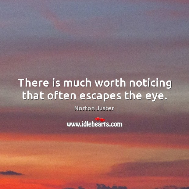 There is much worth noticing that often escapes the eye. Norton Juster Picture Quote