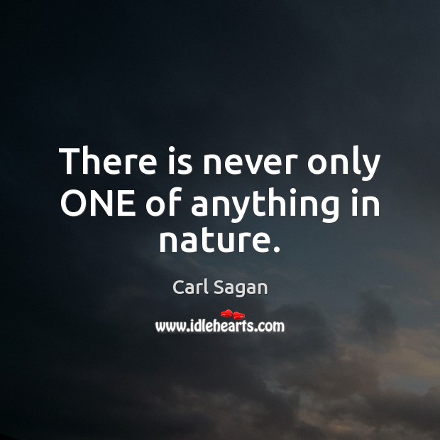 There is never only ONE of anything in nature. Carl Sagan Picture Quote