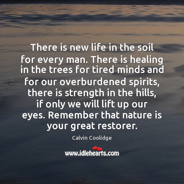 There is new life in the soil for every man. There is Calvin Coolidge Picture Quote