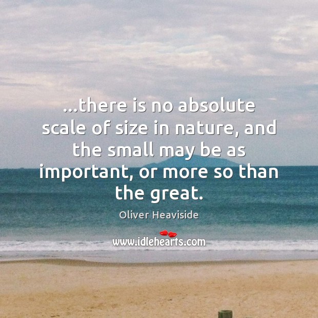 …there is no absolute scale of size in nature, and the small Image
