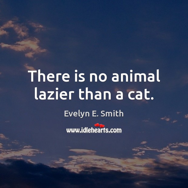 There is no animal lazier than a cat. Evelyn E. Smith Picture Quote