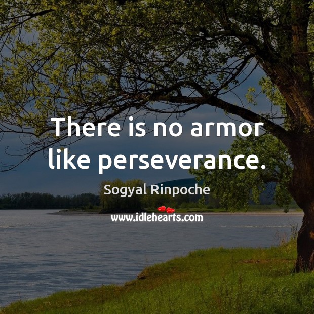 There is no armor like perseverance. Image