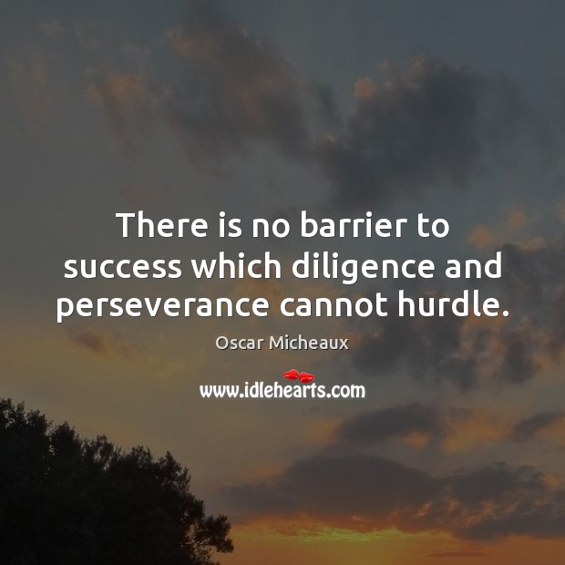 There is no barrier to success which diligence and perseverance cannot hurdle. Image