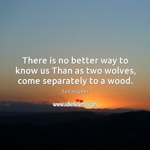 There is no better way to know us Than as two wolves, come separately to a wood. Ted Hughes Picture Quote