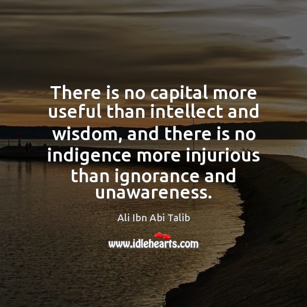 There is no capital more useful than intellect and wisdom, and there Ali Ibn Abi Talib Picture Quote