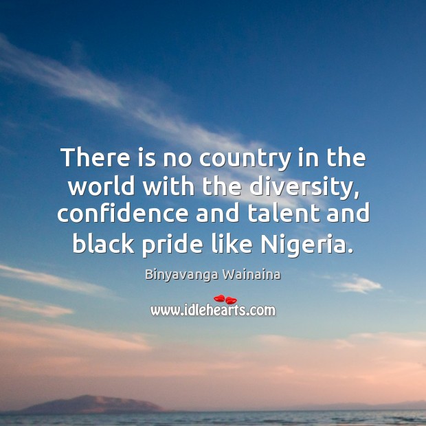 There is no country in the world with the diversity, confidence and Image