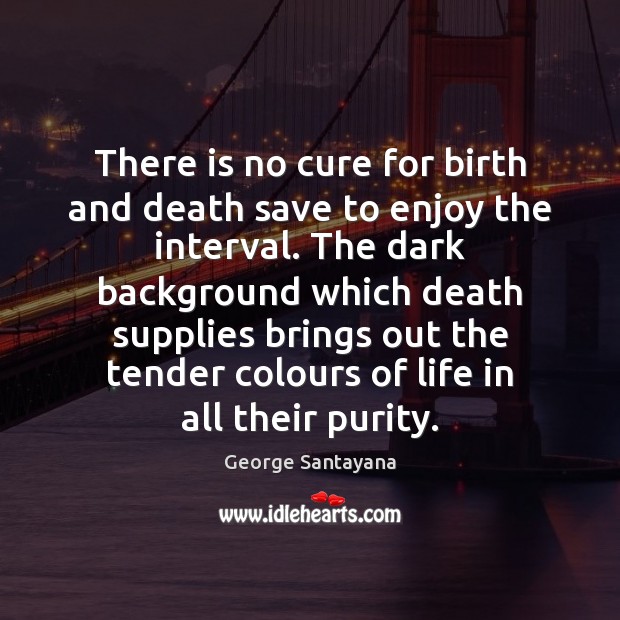 There is no cure for birth and death save to enjoy the George Santayana Picture Quote
