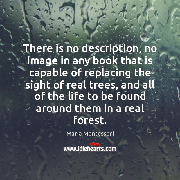 There is no description, no image in any book that is capable Maria Montessori Picture Quote