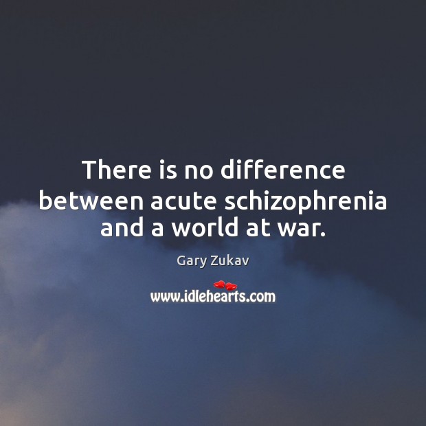 There is no difference between acute schizophrenia and a world at war. Gary Zukav Picture Quote