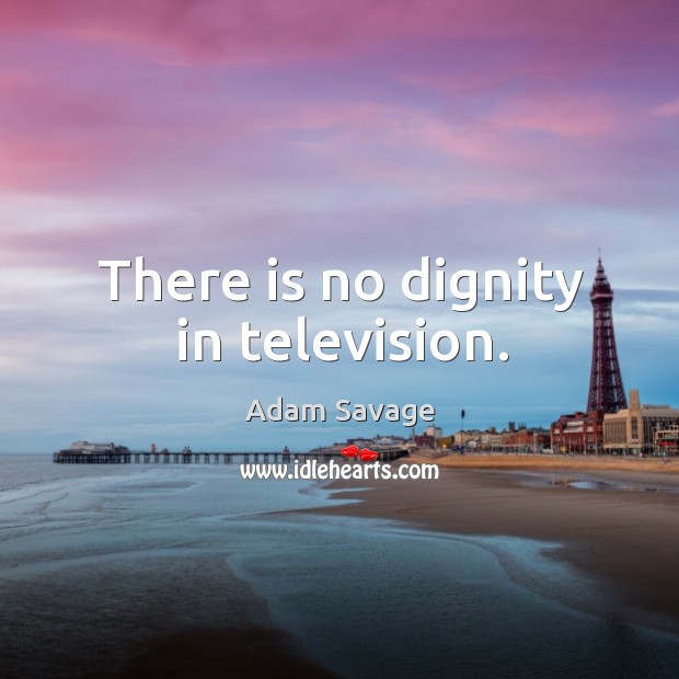 There is no dignity in television. Image