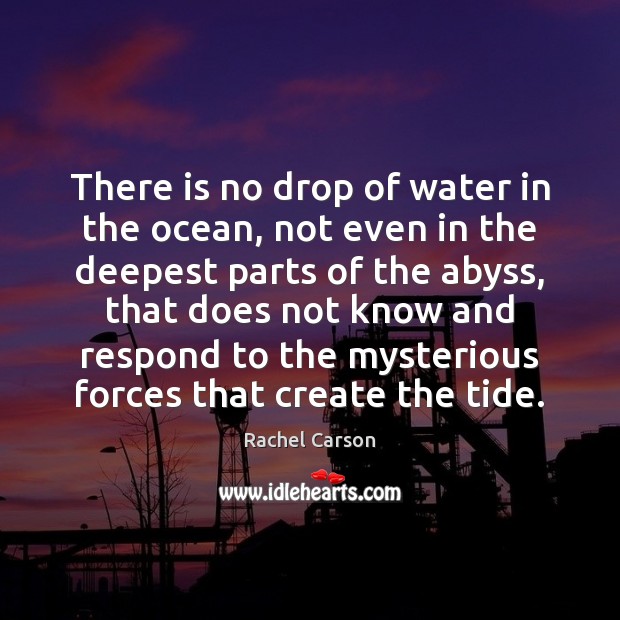 There is no drop of water in the ocean, not even in Rachel Carson Picture Quote