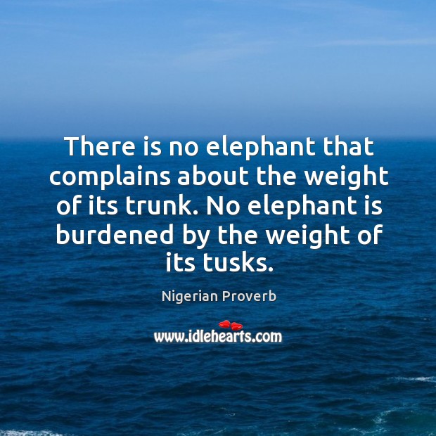 There is no elephant that complains about the weight of its trunk. Nigerian Proverbs Image