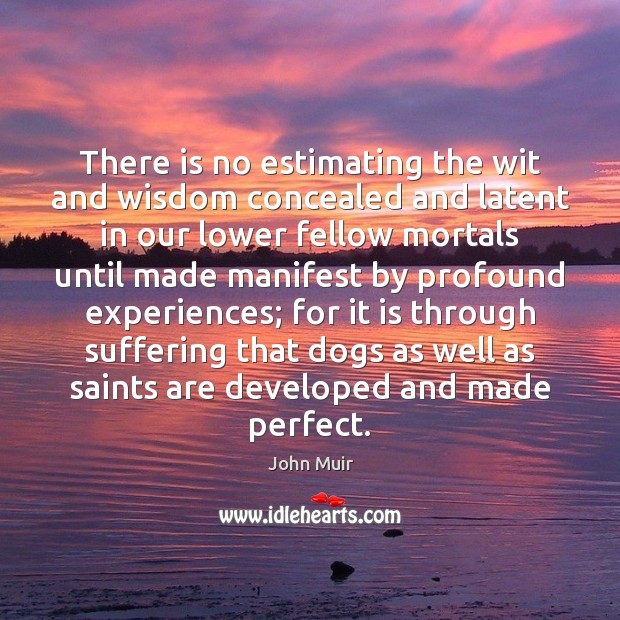 There is no estimating the wit and wisdom concealed and latent in John Muir Picture Quote