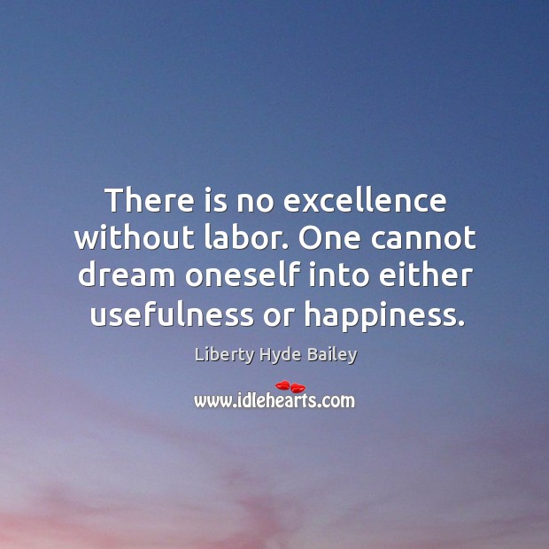 There is no excellence without labor. One cannot dream oneself into either usefulness or happiness. Liberty Hyde Bailey Picture Quote
