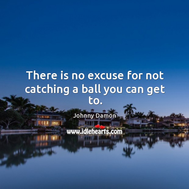 There is no excuse for not catching a ball you can get to. Johnny Damon Picture Quote