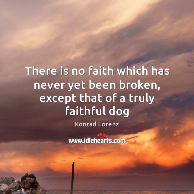 There is no faith which has never yet been broken, except that of a truly faithful dog Konrad Lorenz Picture Quote