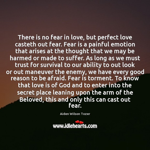There is no fear in love, but perfect love casteth out fear. Aiden Wilson Tozer Picture Quote